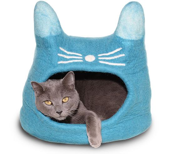 Turquoise Cat Face Cave